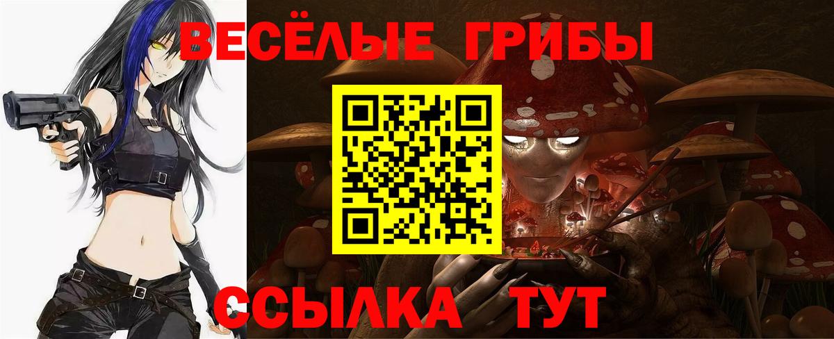 Долгопрудный  Галлюциногенные грибы GOLDEN TEACHER  Вход с VPN 