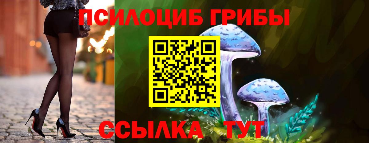 Псилоцибиновые грибы ЛСД Долгопрудный